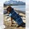 Show in main carousel: PetRageous Designs Kodiak Insulated Dog Coat, Teal Plaid, Small slide 7 of 10