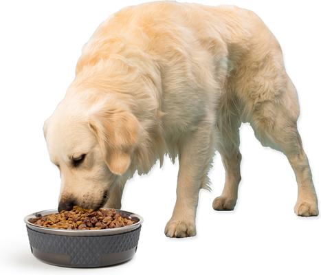 Show full view: PetRageous Designs Kona Non-Skid Stainless Steel Dog & Cat Bowl, Charcoal Grey, 6.5-cup slide 6 of 6