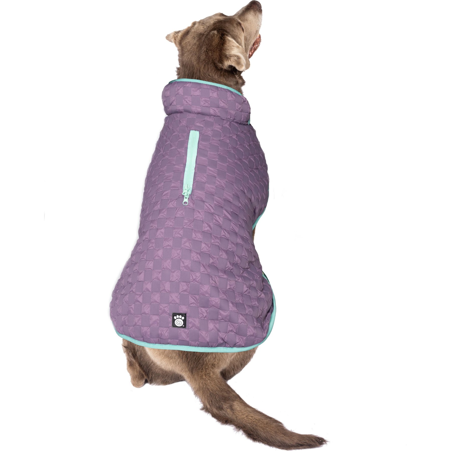 PetRageous Designs Luna Peak Buffalo Check Textured Dog Parka, Plumb/Aqua, X-Large