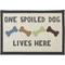 Show in main carousel: PetRageous Designs One Spoiled Dog Tapestry Placemat, Regular slide 1 of 7