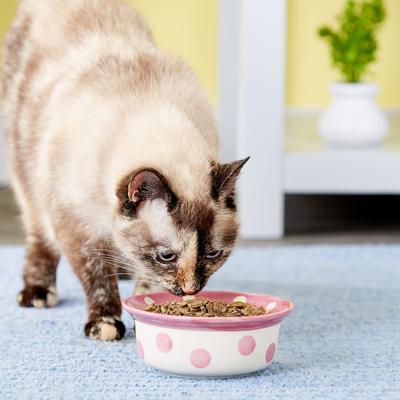 Show full view: PetRageous Designs Polka Paws Deep Ceramic Dog & Cat Bowl, Pink, 2-cup slide 5 of 8