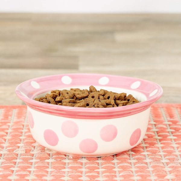 PetRageous Designs Polka Paws Deep Ceramic Dog & Cat Bowl