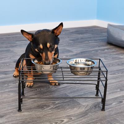 Show full view: PetRageous Designs Set The Table Non-Skid Pet Bowl Wire Stand, Medium slide 6 of 8