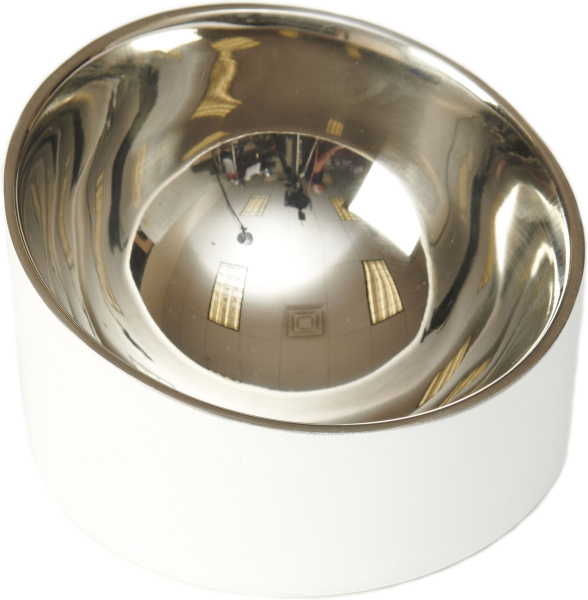 PetRageous Designs Seychelles Stainless-Steel Slanted Double Walled Dog & Cat Bowl
