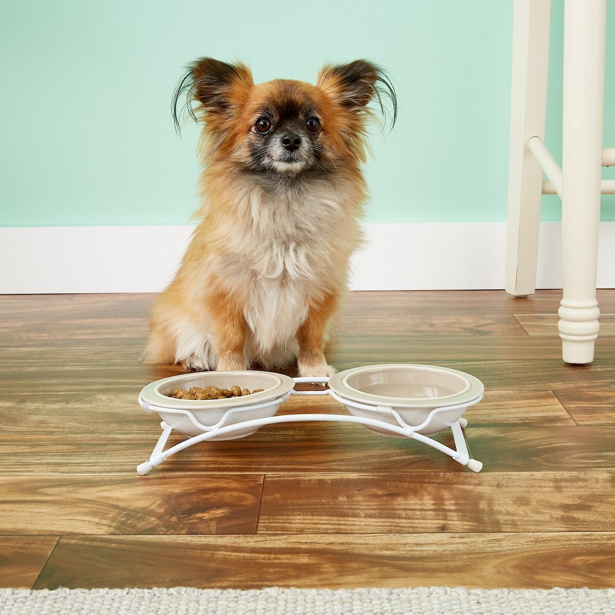PetRageous Designs Sassy Girl Feed Me Shallow Pet Dish