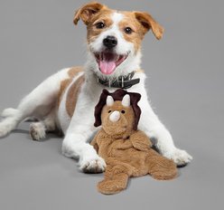 PetRageous Designs Wyatt 20-in Dino Stuffless Squeak & Crinkle Plush Dog Toy, Brown slide 2 of 4