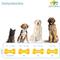 Show in main carousel: Pet's Choice Pharmaceuticals Skin & Coat Small to Medium Breed Soft Chews Dog Supplements, 60 count slide 5 of 8
