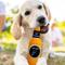 Show in main carousel: Pets First Bottle Squeaky Dog Chew Toy, San Antonio Spurs slide 2 of 6