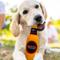 Show in main carousel: Pets First Bottle Squeaky Dog Chew Toy, San Francisco 49ers slide 2 of 6