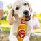 Show in main carousel: Pets First Bottle Squeaky Dog Chew Toy, Texas slide 3 of 7
