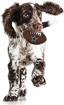Show full view: Pets First Dallas Cowboys Hard Nylon Football Dog Chew Toy, Brown slide 4 of 6
