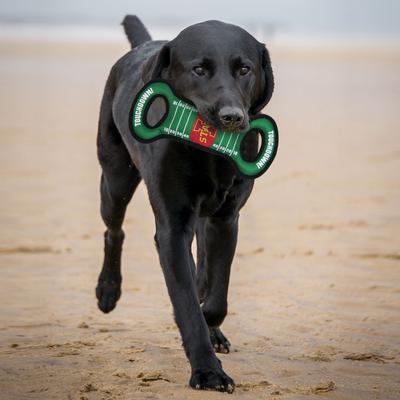Show full view: Pets First Field Tough Squeaky Dog Chew Toy, Iowa State slide 3 of 6