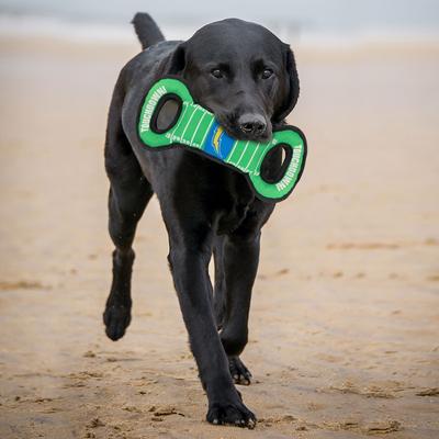 Show full view: Pets First Field Tough Squeaky Dog Chew Toy, Los Angeles Chargers slide 3 of 6