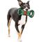 Show in main carousel: Pets First Field Tough Squeaky Dog Chew Toy, Maryland slide 5 of 7