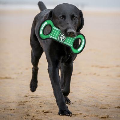 Show full view: Pets First Field Tough Squeaky Dog Chew Toy, New York Jets slide 3 of 7