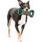 Show in main carousel: Pets First Field Tough Squeaky Dog Chew Toy, Texas Tech slide 4 of 6