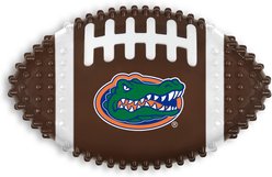 Pets First Florida Hard Nylon Football Dog Chew Toy, Brown