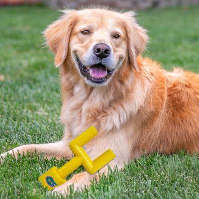 Show full view: Pets First Florida Hard Nylon Goal Post Dog Chew Toy, Yellow slide 3 of 6