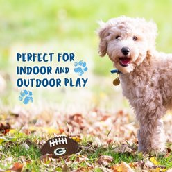 Pets First Green Bay Packers Hard Nylon Football Dog Chew Toy, Brown slide 2 of 5