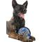 Show in main carousel: Pets First Helmet Tough Squeaky Dog Chew Toy, Detroit Lions slide 4 of 6