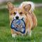 Show in main carousel: Pets First Helmet Tough Squeaky Dog Chew Toy, Detroit Lions slide 3 of 6
