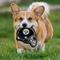 Show in main carousel: Pets First Helmet Tough Squeaky Dog Chew Toy, Pittsburgh Steelers slide 4 of 6