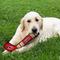 Show in main carousel: Pets First Hockey Stick Tough Squeaky Dog Chew Toy, Carolina Hurricanes slide 4 of 7
