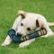 Show in main carousel: Pets First Hockey Stick Tough Squeaky Dog Chew Toy, San Jose Sharks slide 2 of 6