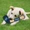 Show in main carousel: Pets First Hockey Stick Tough Squeaky Dog Chew Toy, Seattle Kraken slide 2 of 6