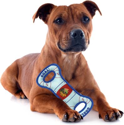 Show full view: Pets First Hockey Tug Tough Squeaky Dog Chew Toy, Chicago Blackhawks slide 3 of 6