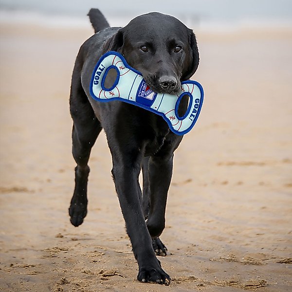 Show full view: Pets First Hockey Tug Tough Squeaky Dog Chew Toy, New York Rangers slide 3 of 6