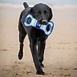 Show in main carousel: Pets First Hockey Tug Tough Squeaky Dog Chew Toy, New York Rangers slide 3 of 6
