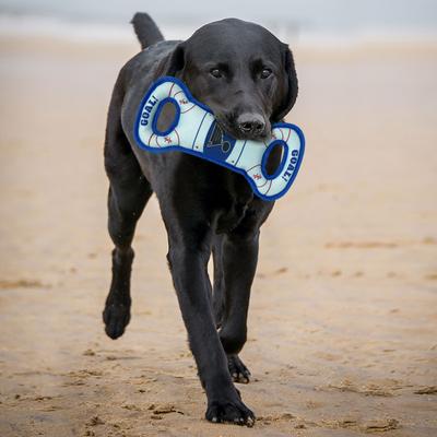 Show full view: Pets First Hockey Tug Tough Squeaky Dog Chew Toy, St Louis Blues slide 3 of 6