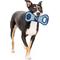Show in main carousel: Pets First Hockey Tug Tough Squeaky Dog Chew Toy, Tampa Bay Lightning slide 4 of 6