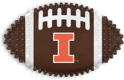 Pets First Illinois Hard Nylon Football Dog Chew Toy, Brown