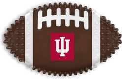 Pets First Indiana Hard Nylon Football Dog Chew Toy, Brown