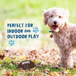 Pets First Indianapolis Colts Hard Nylon Football Dog Chew Toy, Brown slide 2 of 5