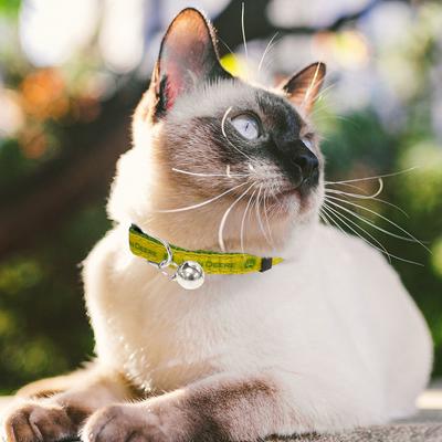 Show full view: Pets First John Deere Satin Cat Collar slide 4 of 6