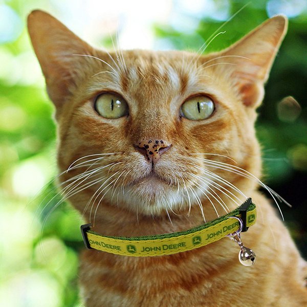 Pets First John Deere Satin Cat Collar