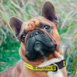 Pets First John Deere Satin Dog Collar, Medium slide 2 of 5