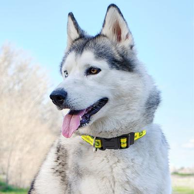 Show full view: Pets First John Deere Satin Dog Collar, Small slide 3 of 6