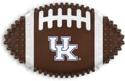 Pets First Kentucky Hard Nylon Football Dog Chew Toy, Brown