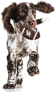 Show full view: Pets First Kentucky Hard Nylon Football Dog Chew Toy, Brown slide 3 of 5