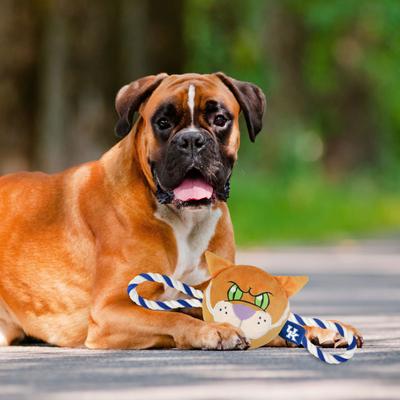 Show full view: Pets First Mascot Tough Squeaky Plush Dog Chew Toy, Kentucky slide 4 of 5