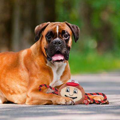 Show full view: Pets First Mascot Tough Squeaky Plush Dog Chew Toy, Ohio State slide 4 of 5