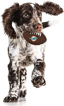 Show full view: Pets First Miami Dolphins Hard Nylon Football Dog Chew Toy, Brown slide 3 of 5