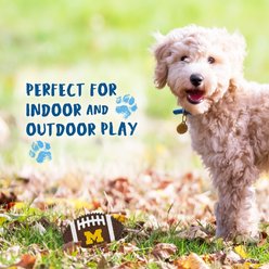 Pets First Michigan Hard Nylon Football Dog Chew Toy, Brown slide 2 of 5
