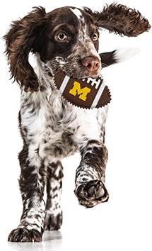 Show full view: Pets First Michigan Hard Nylon Football Dog Chew Toy, Brown slide 3 of 5