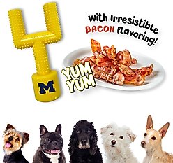 Pets First Michigan Hard Nylon Goal Post Dog Chew Toy, Yellow slide 2 of 5