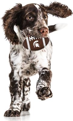 Show full view: Pets First Michigan State Hard Nylon Football Dog Chew Toy, Brown slide 3 of 5